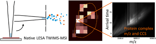 Nativa LESA TWIMS-MSI